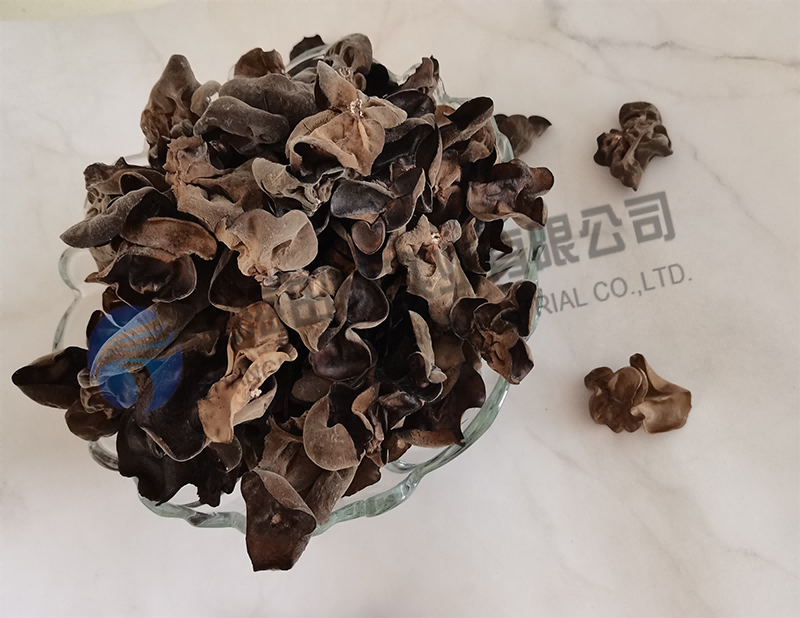 木耳凍干，食品真空冷凍干燥機(jī)木耳凍干方法