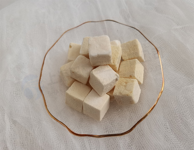 酸奶塊凍干，食品凍干機(jī)應(yīng)用于酸奶真空冷凍干燥
