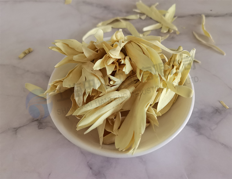 白玉蘭凍干，鮮花凍干機(jī)應(yīng)用于白玉蘭真空冷凍干燥