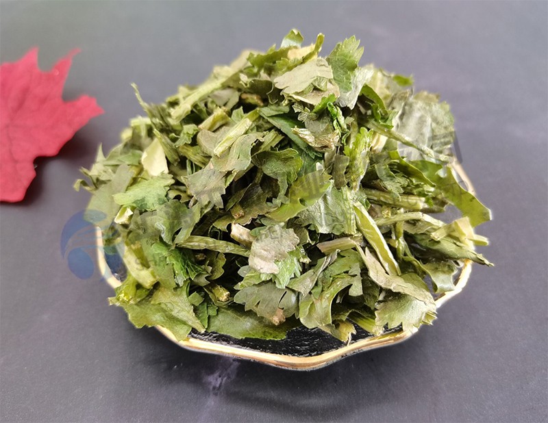 香菜凍干機(jī)：蔬菜凍干機(jī)應(yīng)用于香菜凍干加工