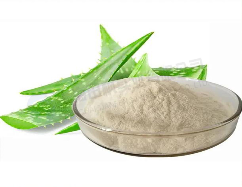 蘆薈凍干，凍干粉真空冷凍干燥機(jī)應(yīng)用于蘆薈凍干