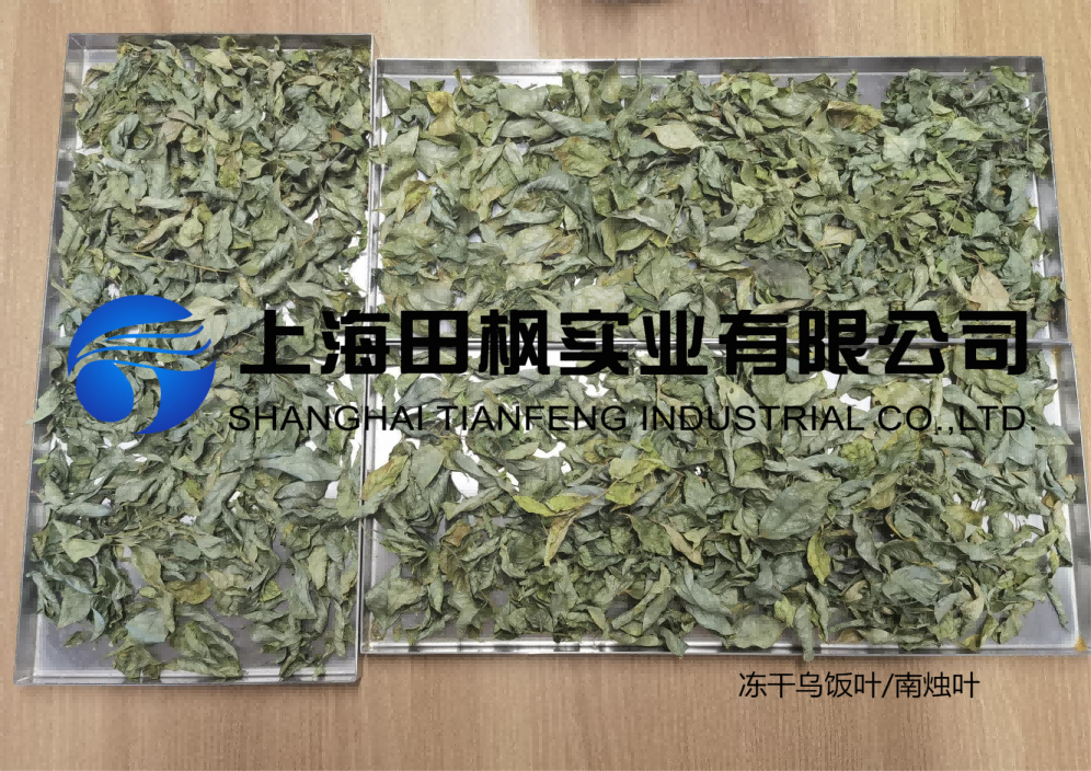 凍干機讓傳統(tǒng)烏米飯便捷又營養(yǎng)